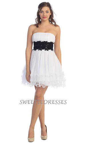Splendid Tulle Mini Dress